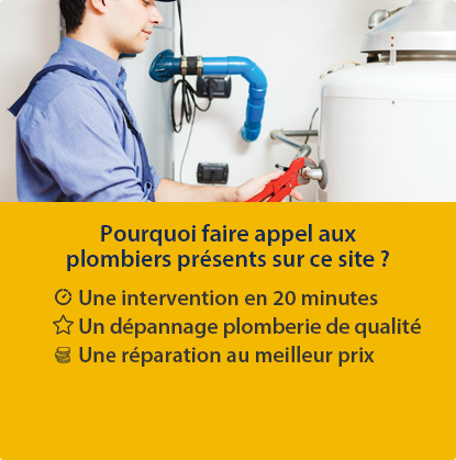 Pourquoi faire appel aux plombiers présents sur ce site ? Une intervention en 20 minutes. Un dépannage plomberie de qualité. Une réparation au meilleur prix